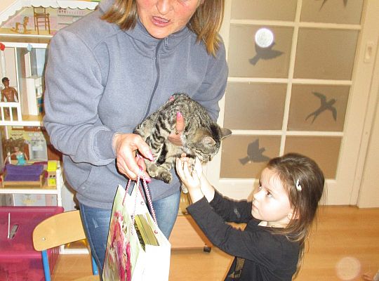 Poznajemy zwierzęta domowe, wizyta Pani ze schroniska-gr II