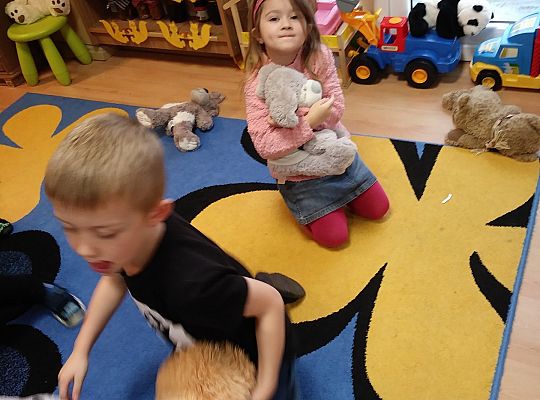 Święto Pluszowego Misia