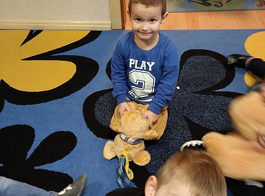 Święto Pluszowego Misia