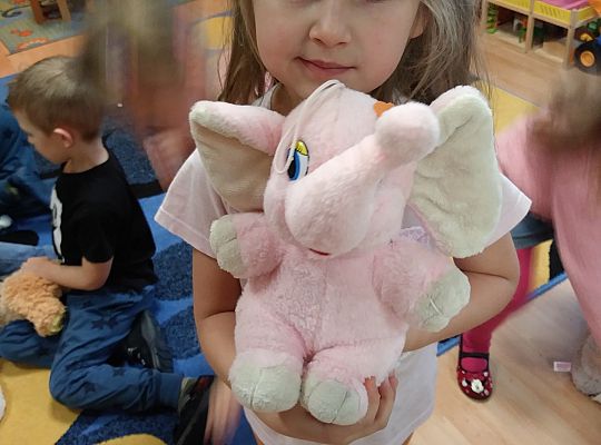 Święto Pluszowego Misia