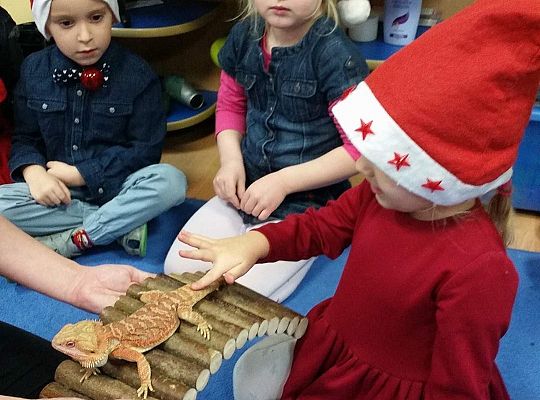 Mikołajkowe niespodzianki -gr I,II