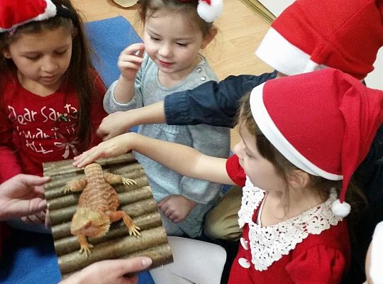 Mikołajkowe niespodzianki -gr I,II