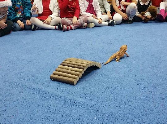 Mikołajkowe niespodzianki -gr I,II