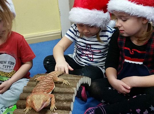 Mikołajkowe niespodzianki -gr I,II