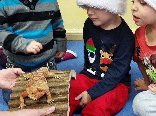 Mikołajkowe niespodzianki -gr I,II