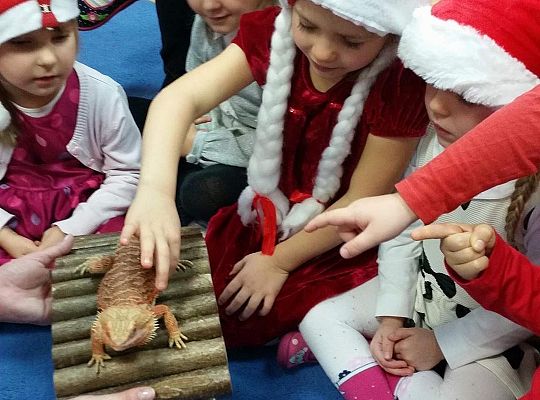 Mikołajkowe niespodzianki -gr I,II