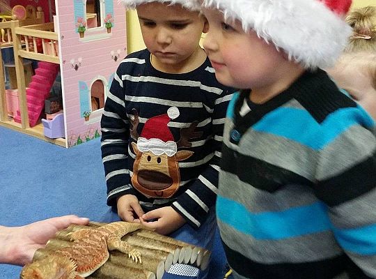 Mikołajkowe niespodzianki -gr I,II