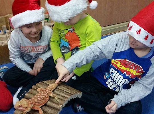 Mikołajkowe niespodzianki -gr I,II