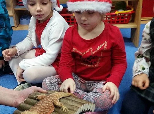 Mikołajkowe niespodzianki -gr I,II