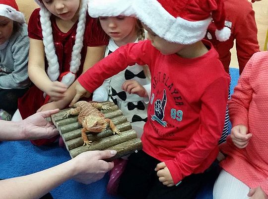 Mikołajkowe niespodzianki -gr I,II