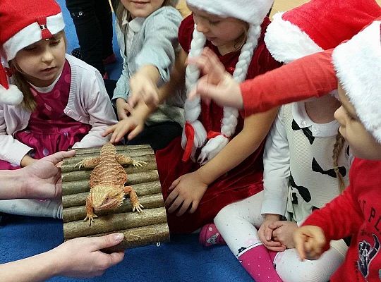 Mikołajkowe niespodzianki -gr I,II