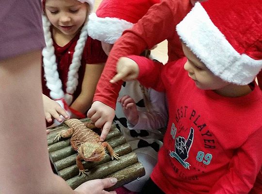 Mikołajkowe niespodzianki -gr I,II