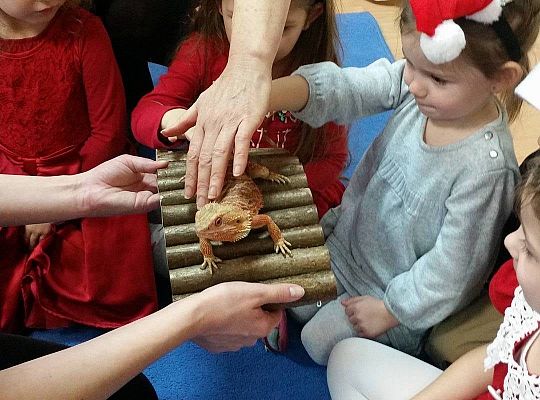 Mikołajkowe niespodzianki -gr I,II