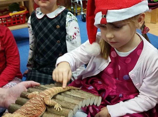 Mikołajkowe niespodzianki -gr I,II