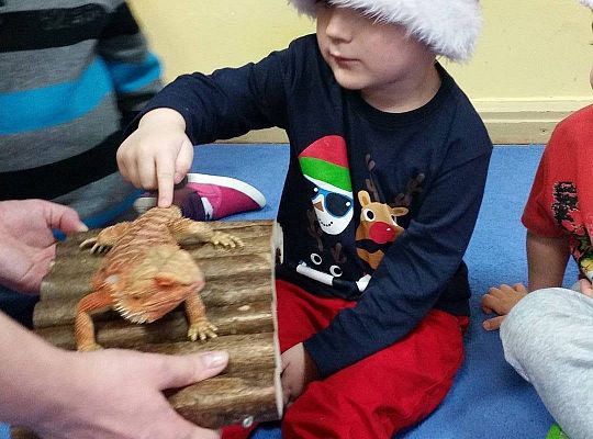 Mikołajkowe niespodzianki -gr I,II