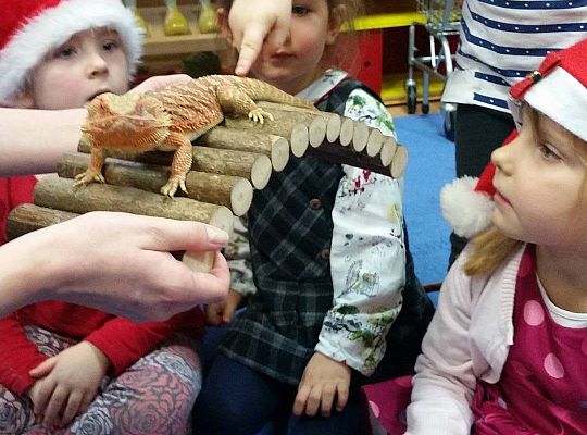 Mikołajkowe niespodzianki -gr I,II