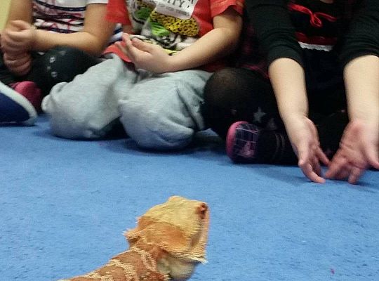 Mikołajkowe niespodzianki -gr I,II