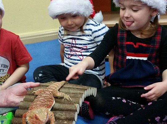 Mikołajkowe niespodzianki -gr I,II