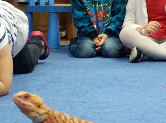 Mikołajkowe niespodzianki -gr I,II