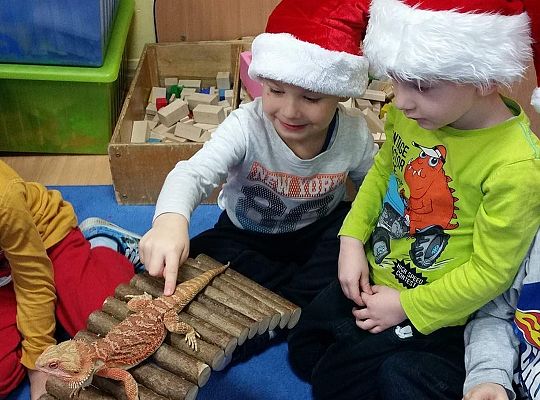 Mikołajkowe niespodzianki -gr I,II