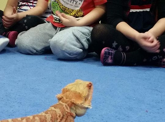 Mikołajkowe niespodzianki -gr I,II