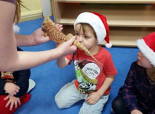 Mikołajkowe niespodzianki -gr I,II