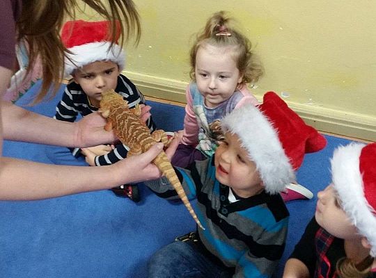 Mikołajkowe niespodzianki -gr I,II