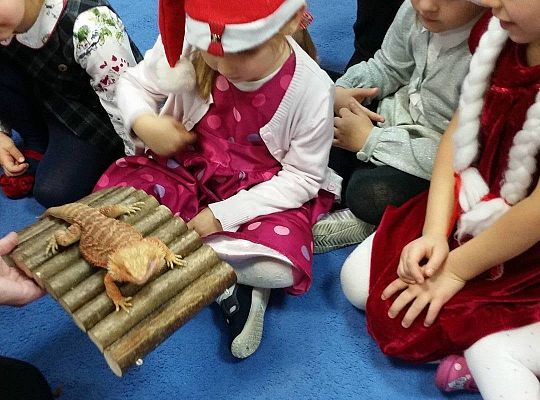 Mikołajkowe niespodzianki -gr I,II