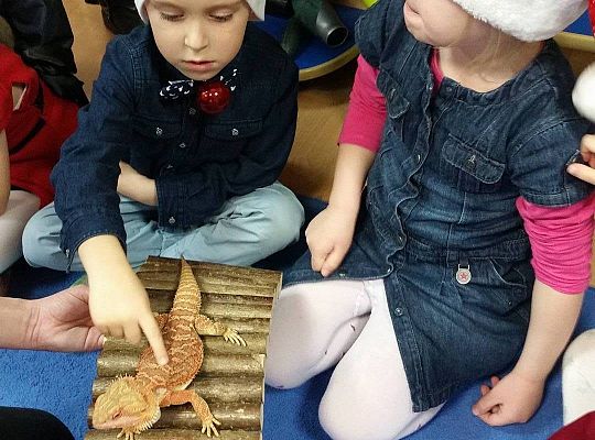 Mikołajkowe niespodzianki -gr I,II