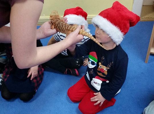 Mikołajkowe niespodzianki -gr I,II