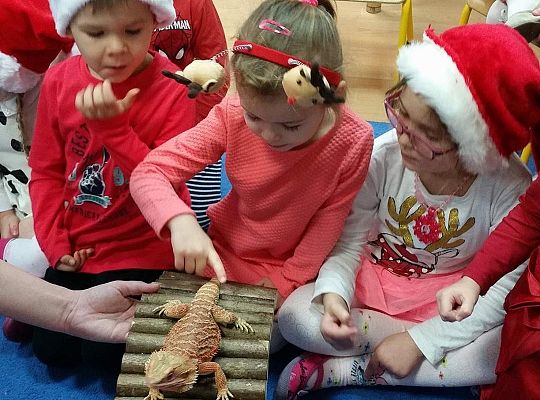 Mikołajkowe niespodzianki -gr I,II