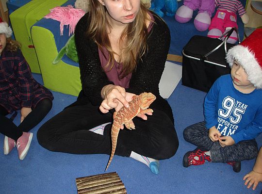 Mikołajkowe niespodzianki -gr I,II