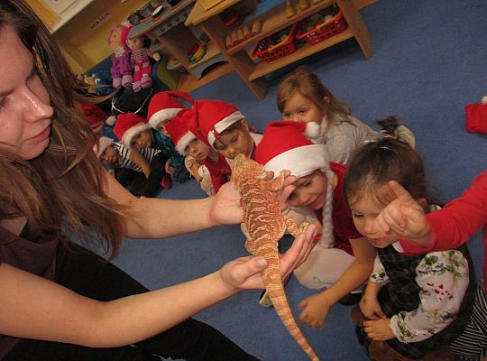 Mikołajkowe niespodzianki -gr I,II