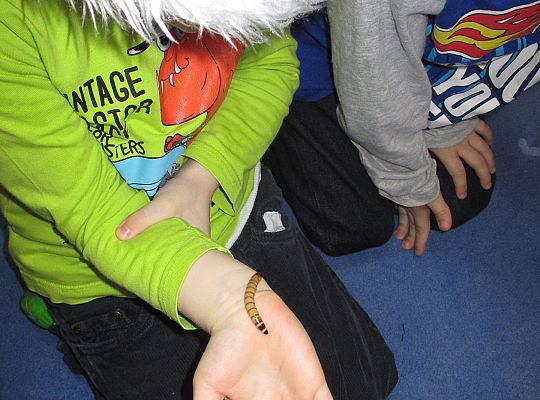 Mikołajkowe niespodzianki -gr I,II