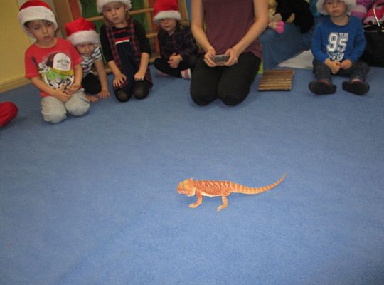 Mikołajkowe niespodzianki -gr I,II