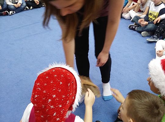 Mikołajkowe niespodzianki -gr III,IV