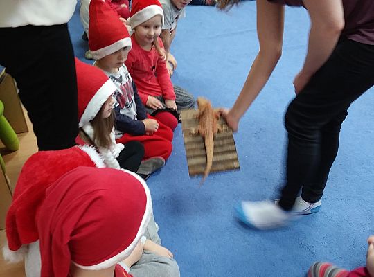 Mikołajkowe niespodzianki -gr III,IV