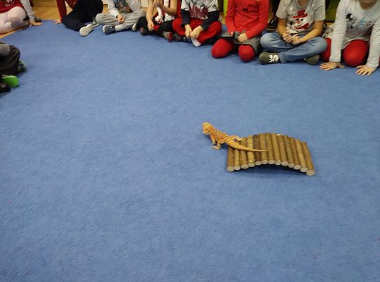 Mikołajkowe niespodzianki -gr III,IV