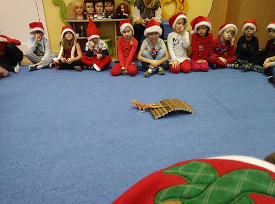 Mikołajkowe niespodzianki -gr III,IV