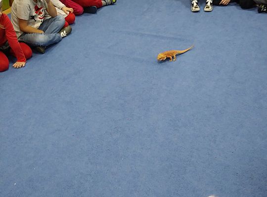 Mikołajkowe niespodzianki -gr III,IV