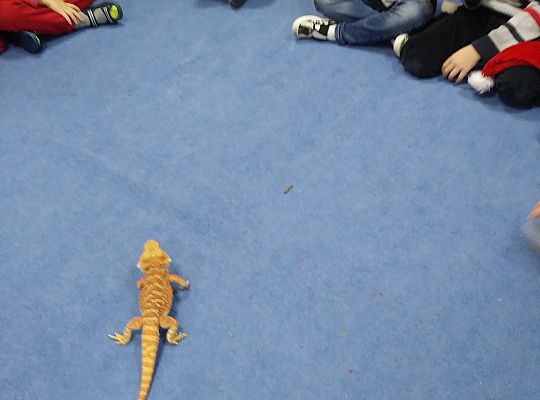 Mikołajkowe niespodzianki -gr III,IV