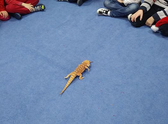 Mikołajkowe niespodzianki -gr III,IV