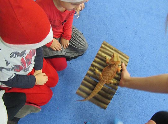 Mikołajkowe niespodzianki -gr III,IV