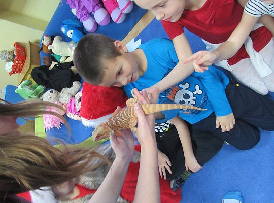 Mikołajkowe niespodzianki -gr III,IV