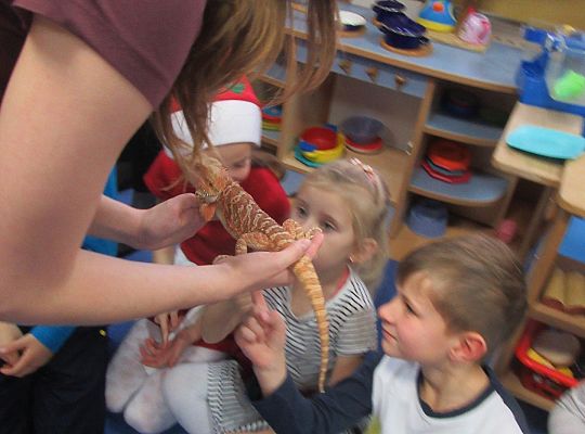 Mikołajkowe niespodzianki -gr III,IV