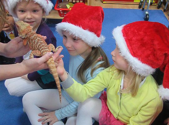 Mikołajkowe niespodzianki -gr III,IV