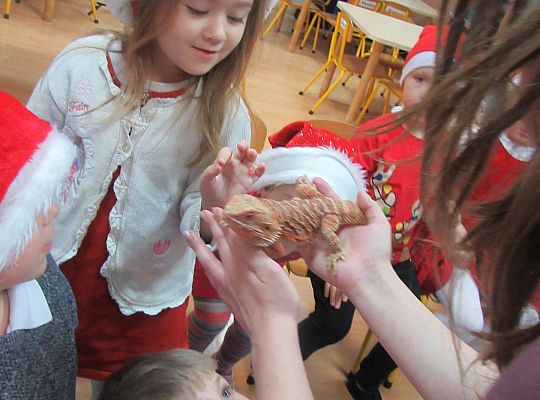 Mikołajkowe niespodzianki -gr III,IV