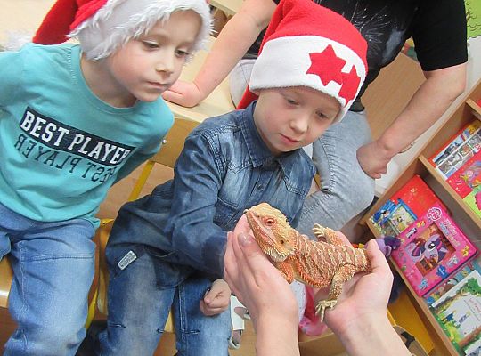 Mikołajkowe niespodzianki -gr III,IV