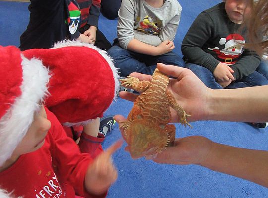 Mikołajkowe niespodzianki -gr III,IV