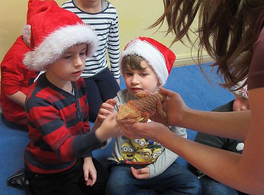 Mikołajkowe niespodzianki -gr III,IV